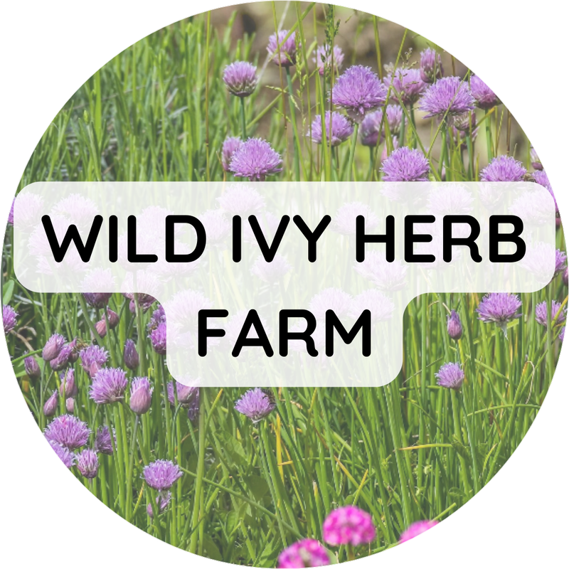 Wild Ivy Herb Farm
