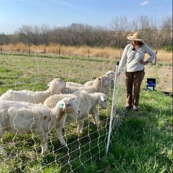 Beginning Farmer Wholesale Project