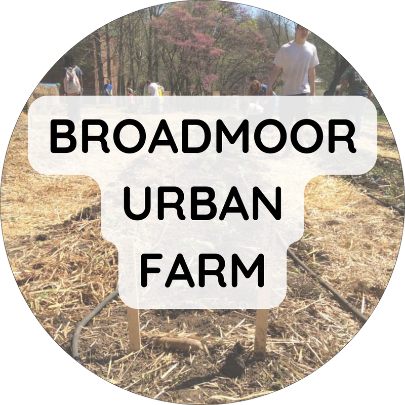Broadmoor Urban Farm