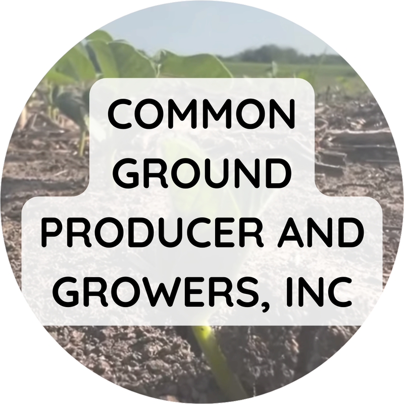 Common Ground Producer