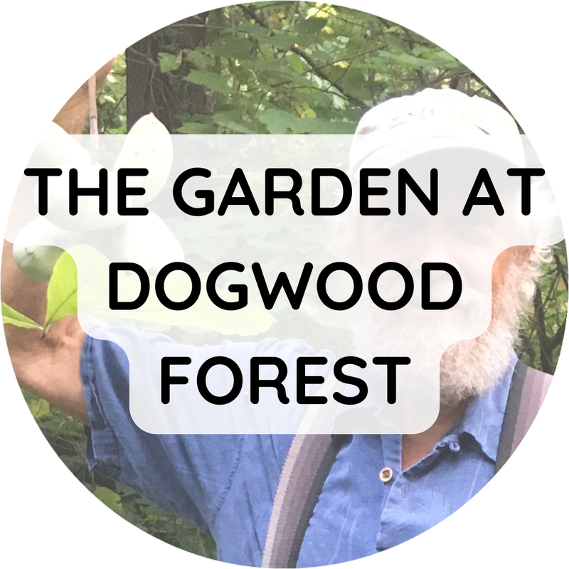 The Garden at Dogwood Forest