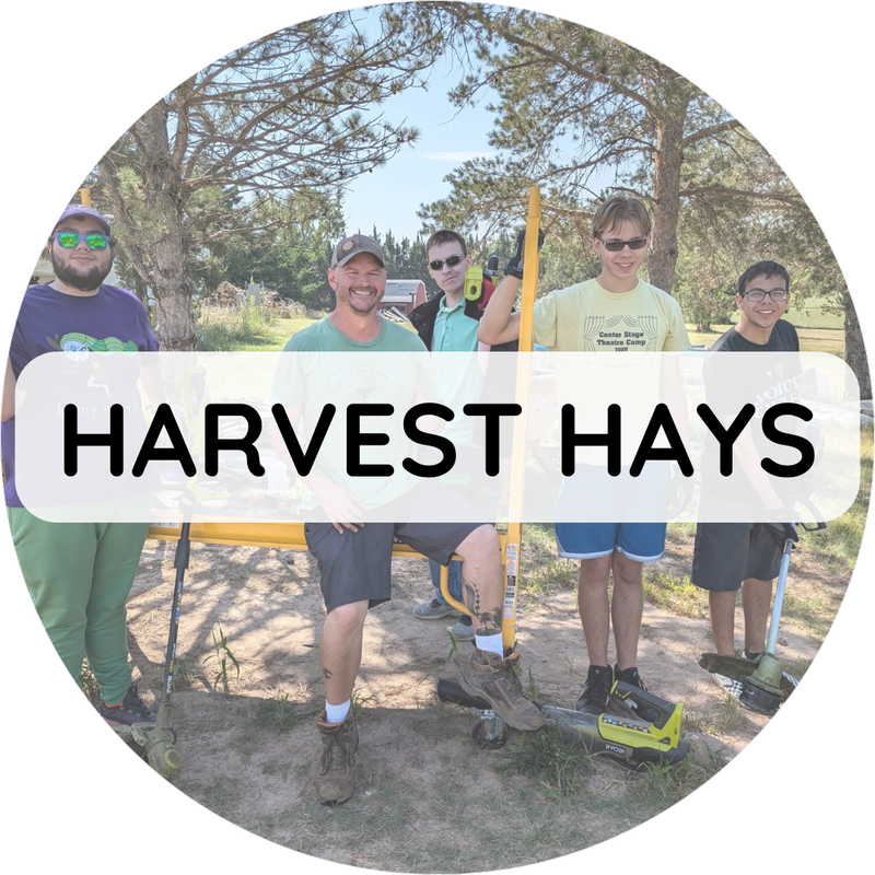 Harvest Hays