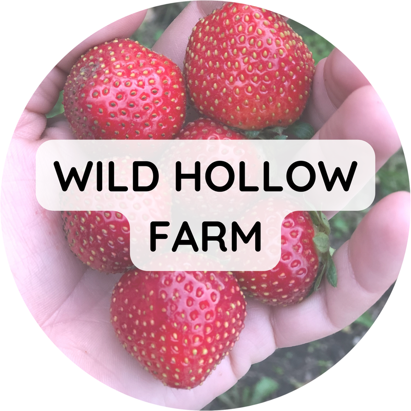 Wild Hollow Farm