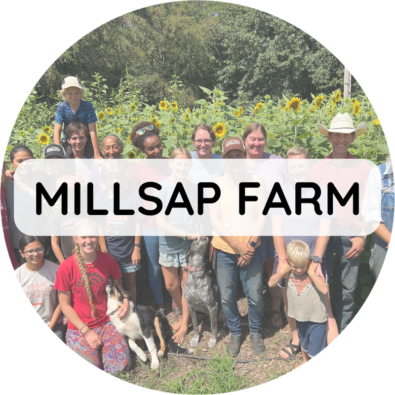Millsap Farm