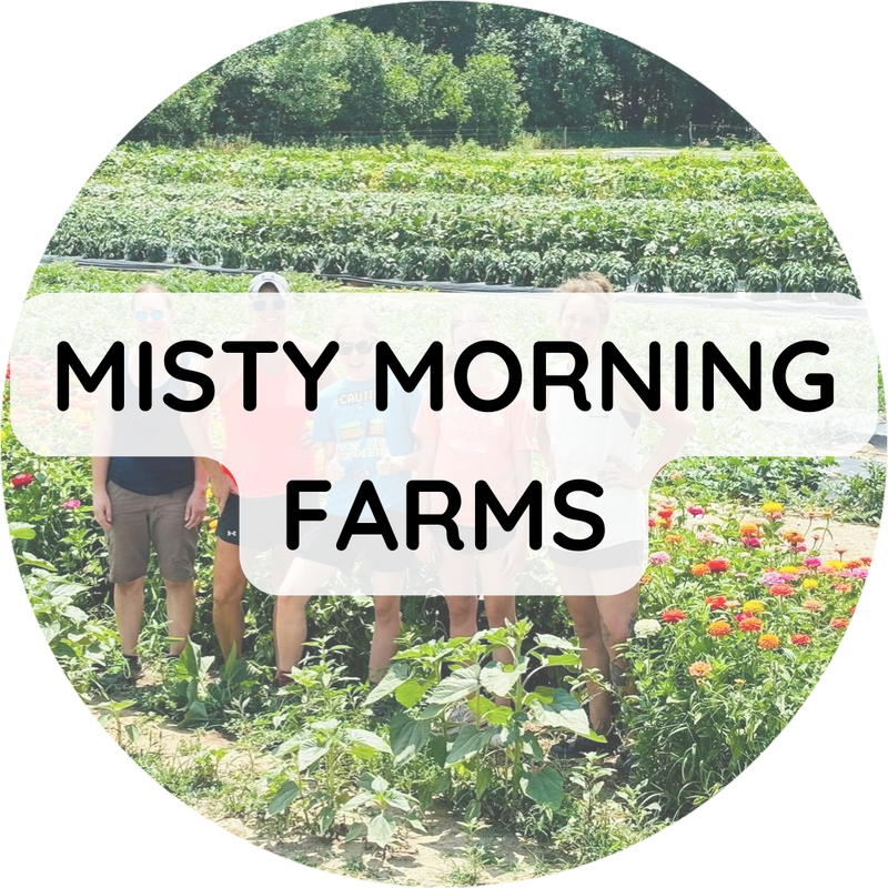 Misty Morning Farms