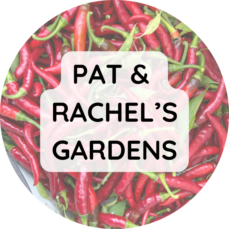 Pat & Rachel's Gardens