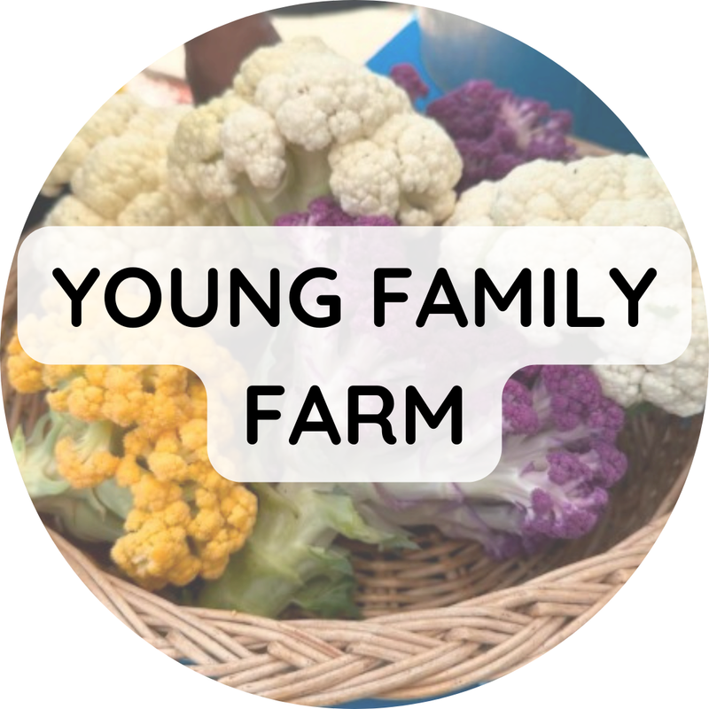 Young Family Farm