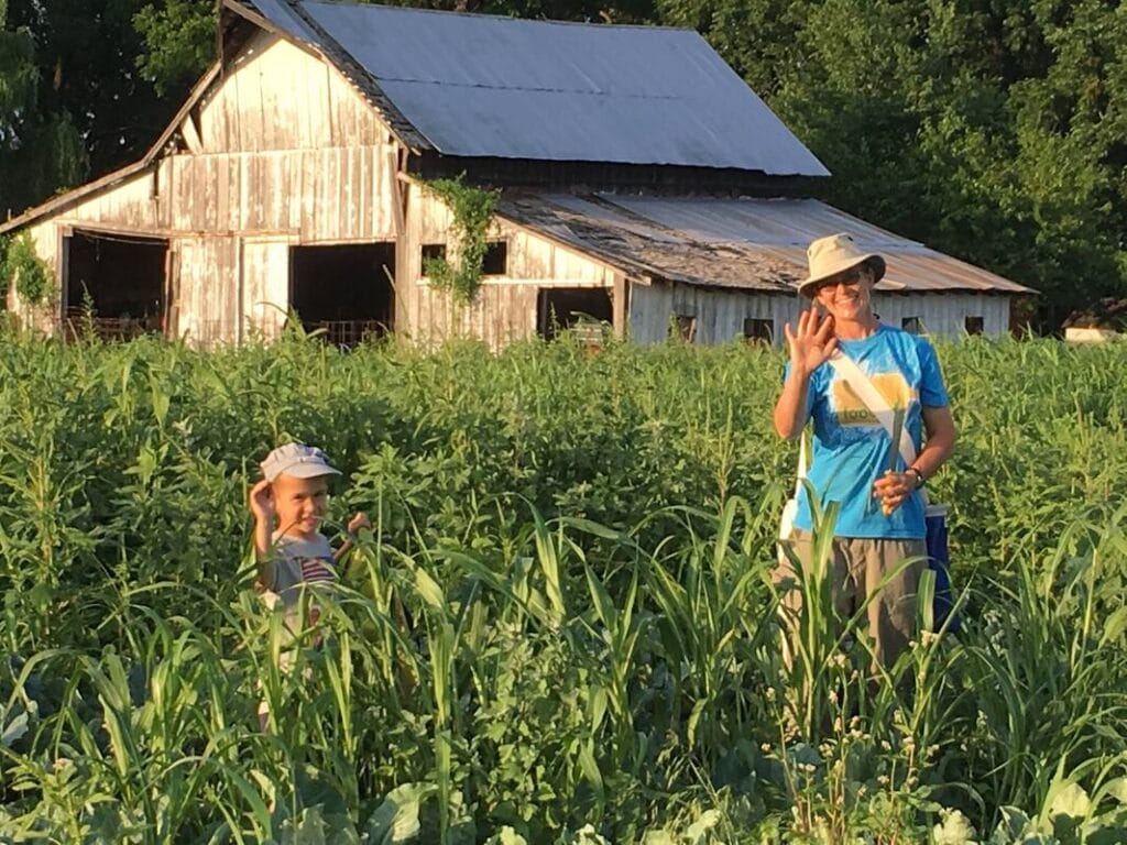 MOON ON THE MEADOW 2
