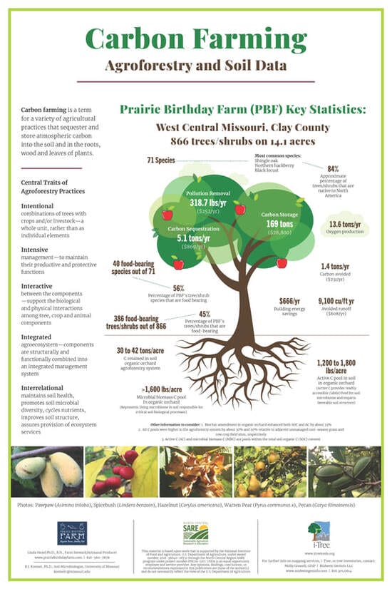 Carbon Farming Poster - Prairie Birthday