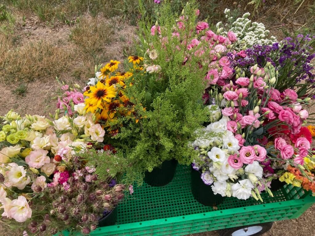 Flower harvest