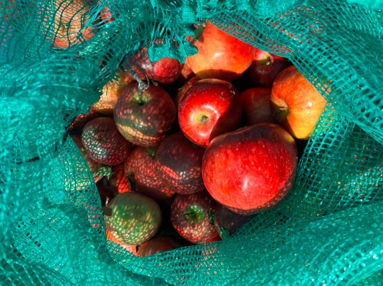 Global One Urban Farming