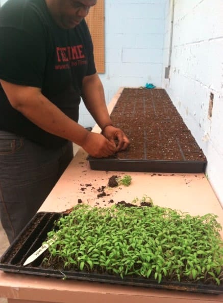 Global One Urban Farming