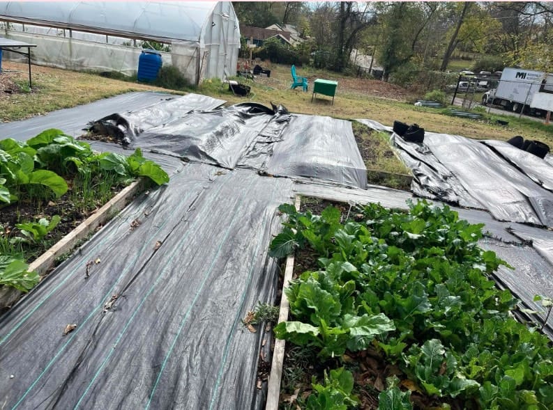 Global One Urban Farming