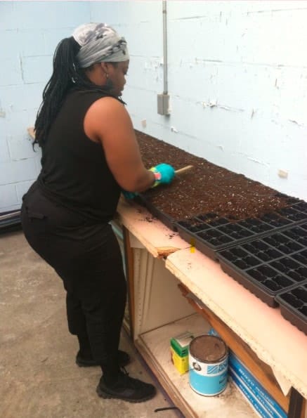 Global One Urban Farming