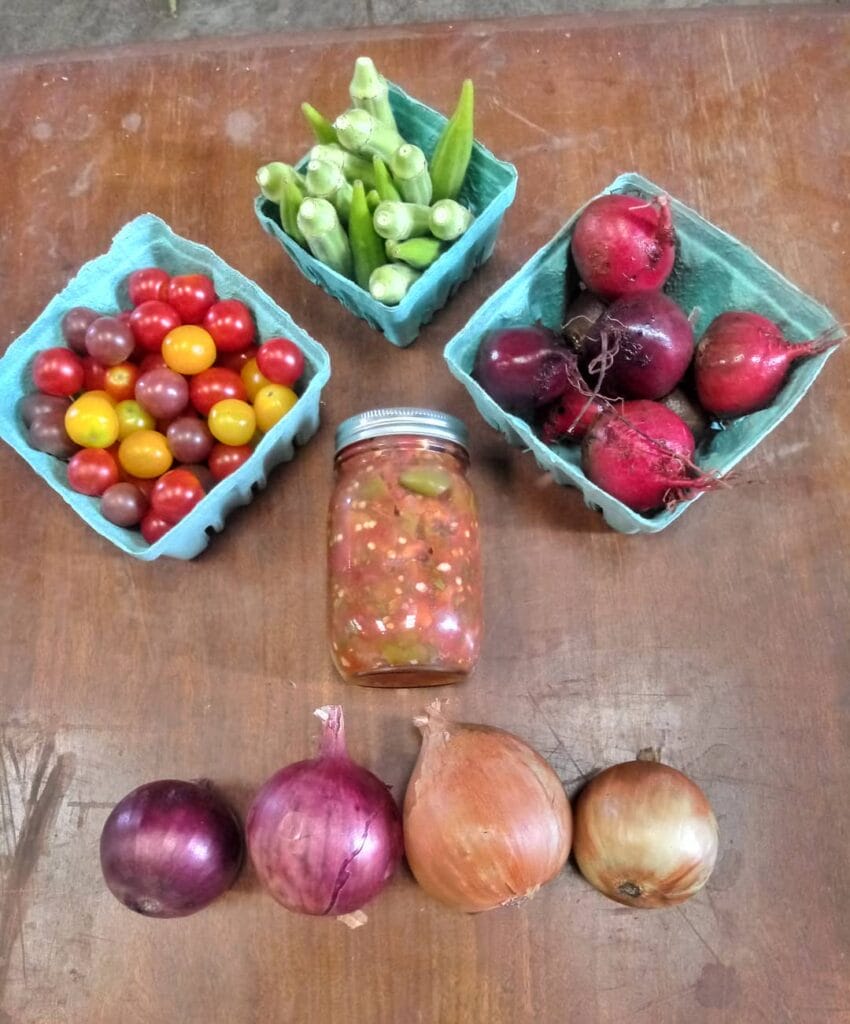 Pat & Rachels Gardens