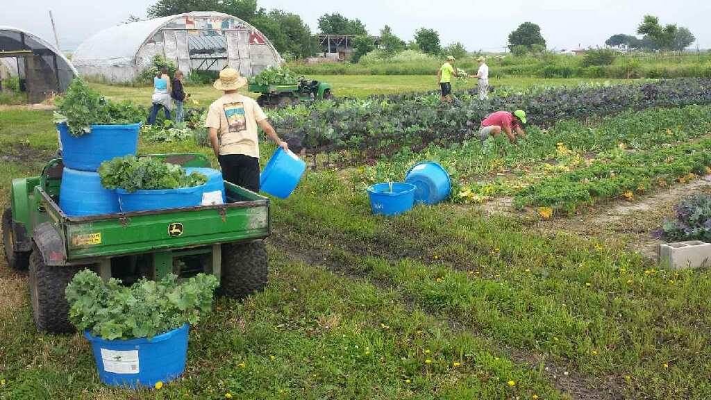 Pendleton’s Country Market