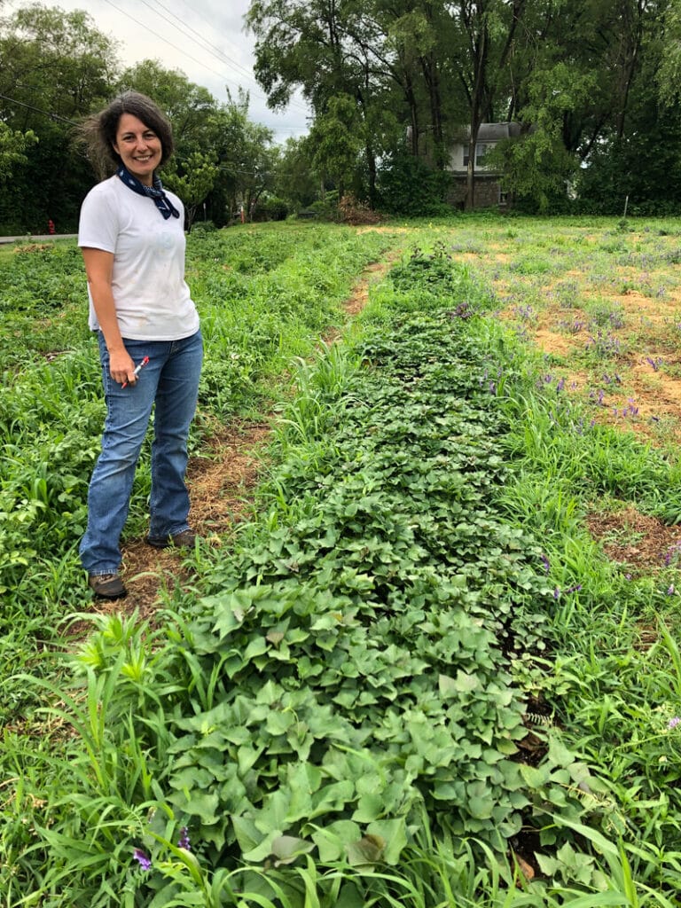 sharon-in-sweet-potatoes_orig