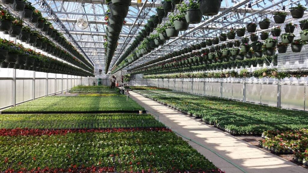 Sullivan’s Greenhouse