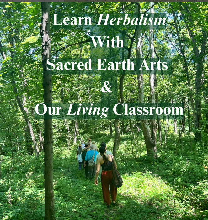 The Garden at Dogwood Forest