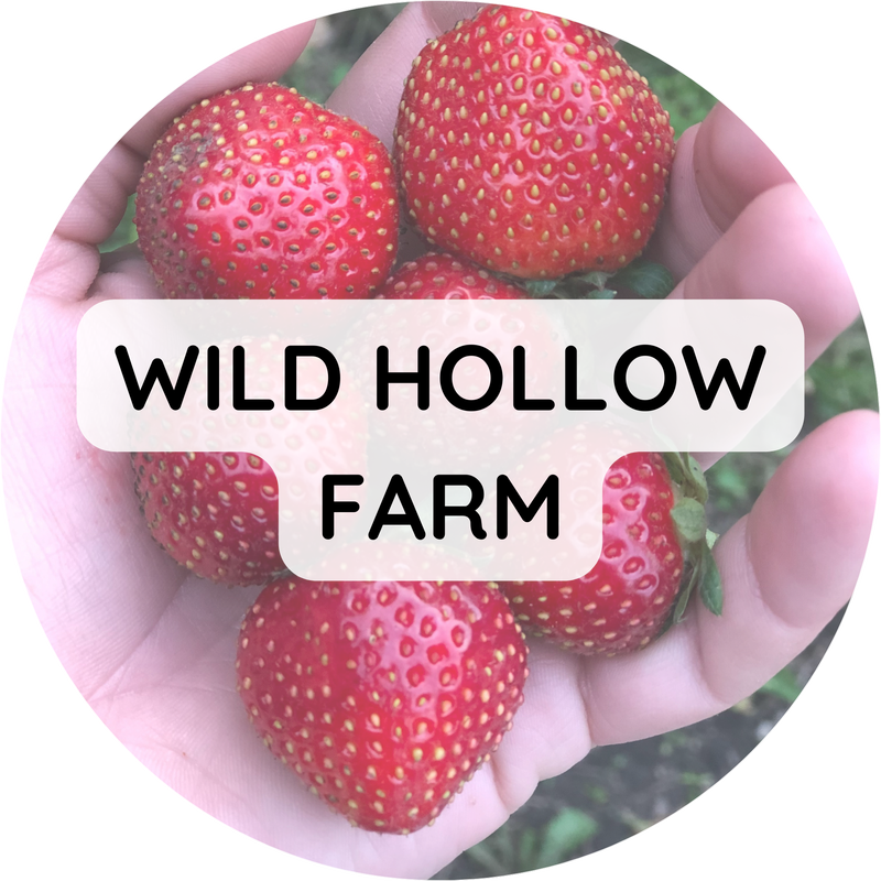 Wild Hollow Farm