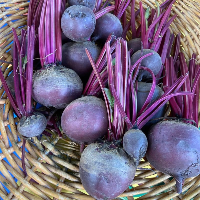 Young Family Farm KC