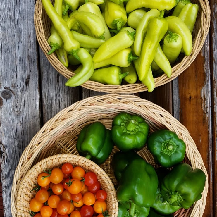 Young Family Farm KC